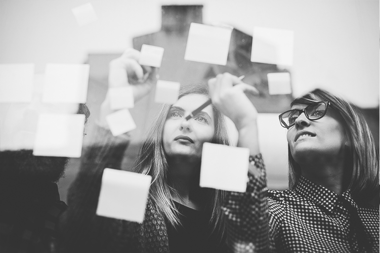 Learn more about our Project Management 360 certificate