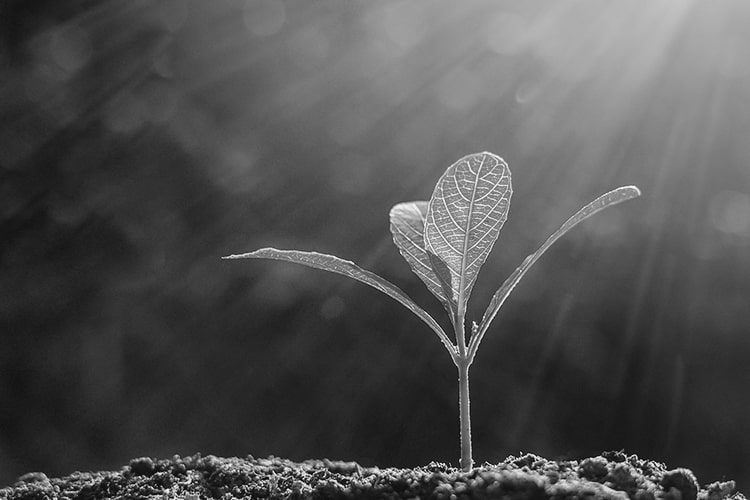 Learn more about our Growth Marketing certificate