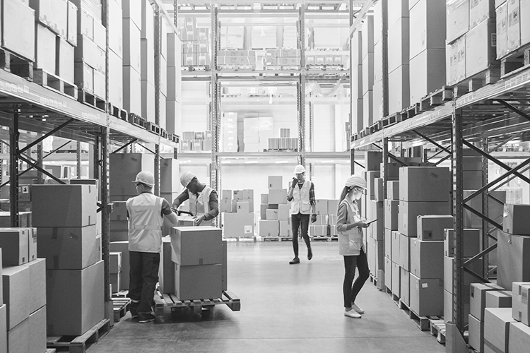 Learn more about our Procurement Strategy certificate